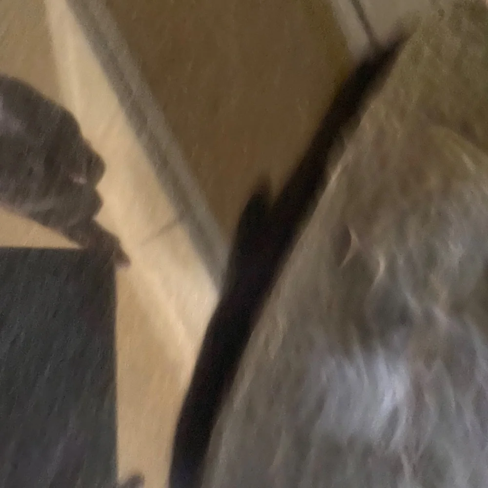 Gray Suede/Felt Buckle Slip On Flat Mules - Picture 13 of 16